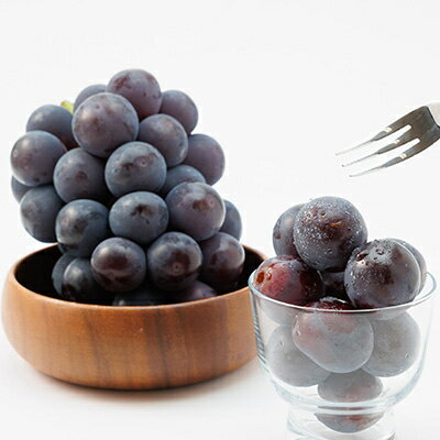 【ふるさと納税】【2026年発送】岡山県産ニューピオーネ約1.2kg(2房)【配送不可地域：離島】【1413100】 サムネイル3