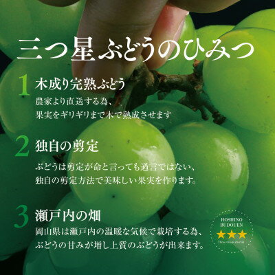 【ふるさと納税】【三つ星ブランド】星乃シャインマスカット プレミアムクラス(岡山県産) 1房×850g以上_ ぶどう 葡萄 ブドウ 果物 フルーツ くだもの 岡山県 津山市 人気 おすすめ 送料無料 贈答 ギフト 【配送不可地域：離島・北海道・沖縄県】【1418920】 サムネイル2