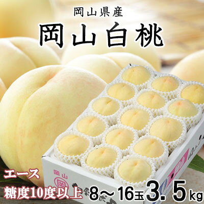 【先行予約】岡山白桃 エース 8～16玉 3.5kg 岡山県産_ 桃 白桃 もも モモ 岡山白桃 甘い 果物 くだもの フルーツ デザート 岡山県 津山市 光センサー 産直 産地直送 ギフト プレゼント 送料無料 【配送不可地域：離島・北海道・沖縄県】【1424435】