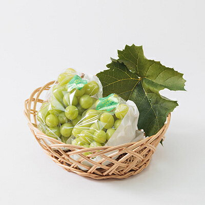 【ふるさと納税】【2025年度発送分】早起き農家の直送便　わけありシャインマスカット2kg_ シャインマスカット 訳あり ぶどう 葡萄 ブドウ 果物 くだもの フルーツ 岡山県 津山市 家庭用 自宅用 産直 産地直送 送料無料 【配送不可地域：離島・北海道・沖縄県】【1428073】 サムネイル3