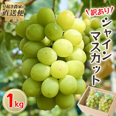 【2025年度発送分】早起き農家の直送便　わけありシャインマスカット1kg_ シャインマスカット ふるさと納税 ぶどう 葡萄 ブドウ マスカット 果物 くだもの フルーツ 訳あり 岡山県 津山市 産直 産地直送【配送不可地域：離島・北海道・沖縄県】【1435798】