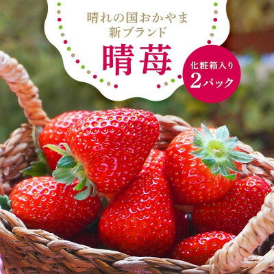 先行予約2026年1月以降発送　晴れの国おかやま新ブランド「晴苺」化粧箱入り2パック【配送不可地域：離島・北海道・沖縄県】【1444423】