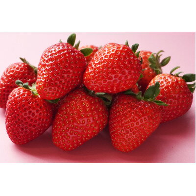 【ふるさと納税】先行予約2026年1月以降発送　晴れの国おかやま新ブランド「晴苺」化粧箱入り2パック_ いちご 苺 イチゴ 晴苺 はれいちご ブランドいちご 完熟フルーツ 贈答用 高糖度 岡山特産 送料無料 岡山県 津山市 【配送不可地域：離島・北海道・沖縄県】【1444423】 サムネイル2