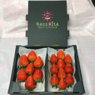 【ふるさと納税】先行予約2026年1月以降発送　晴れの国おかやま新ブランド「晴苺」化粧箱入り2パック_ いちご 苺 イチゴ 晴苺 はれいちご ブランドいちご 完熟フルーツ 贈答用 高糖度 岡山特産 送料無料 岡山県 津山市 【配送不可地域：離島・北海道・沖縄県】【1444423】 サムネイル3