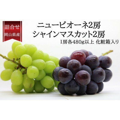 【先行予約】岡山県産詰合/ニューピオーネ2房・シャインマスカット晴王2房 各(1房480g以上)_ ピオーネ シャインマスカット 晴王 ぶどう 葡萄 食べ比べ 果物 くだもの フルーツ ギフト 産地直送 送料無料【配送不可地域：離島・北海道・沖縄県】【1499106】