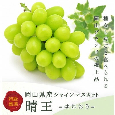 【ふるさと納税】【先行予約】岡山県産詰合/ニューピオーネ2房・シャインマスカット晴王2房 各(1房480g以上)_ ピオーネ シャインマスカット 晴王 ぶどう 葡萄 食べ比べ 果物 くだもの フルーツ ギフト 産地直送 送料無料【配送不可地域：離島・北海道・沖縄県】【1499106】 サムネイル3