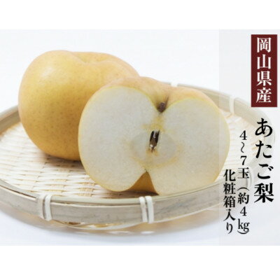 岡山県産 あたご梨 4～7玉(約4kg) 化粧箱入り_ 梨 なし 岡山県産 あたご梨 ブランド 甘い 人気 和梨 果物 くだもの フルーツ 岡山県 津山市 産直 産地直送 化粧箱 贈答 ギフト プレゼント 送料無料 【配送不可地域：離島・北海道・沖縄県】【1499107】