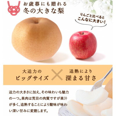 【ふるさと納税】岡山県産 あたご梨 4～7玉(約4kg) 化粧箱入り_ 梨 なし 岡山県産 あたご梨 ブランド 甘い 人気 和梨 果物 くだもの フルーツ 岡山県 津山市 産直 産地直送 化粧箱 贈答 ギフト プレゼント 送料無料 【配送不可地域：離島・北海道・沖縄県】【1499107】 サムネイル2