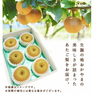【ふるさと納税】岡山県産 あたご梨 4～7玉(約4kg) 化粧箱入り_ 梨 なし 岡山県産 あたご梨 ブランド 甘い 人気 和梨 果物 くだもの フルーツ 岡山県 津山市 産直 産地直送 化粧箱 贈答 ギフト プレゼント 送料無料 【配送不可地域：離島・北海道・沖縄県】【1499107】 サムネイル3