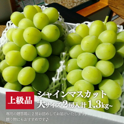 【ふるさと納税】【きよとうファーム】シャインマスカット 大2房入/計1.3kg~(岡山県産)【配送不可地域：離島】【1548991】 サムネイル2