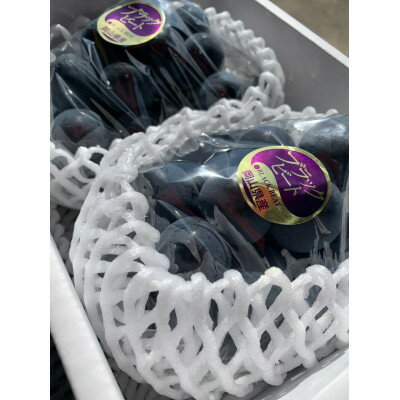 【ふるさと納税】【先行予約 2026年発送】岡山県産　アントシアニン豊富な　ブラックビート　2房(合計約1kg)_ ぶどう 葡萄 ブドウ 果物 フルーツ 岡山県 津山市 くだもの 人気 おすすめ 送料無料 贈答 ギフト 【配送不可地域：離島】【1562213】 サムネイル2