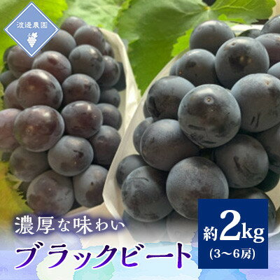 【先行予約 2026年発送】岡山県産　アントシアニン豊富な　ブラックビート3房～6房(合計約2kg)_ ぶどう ふるさと納税 葡萄 ブドウ ブラックビート 果物 くだもの フルーツ 岡山県 津山市 産直 【配送不可地域：離島】【1562227】