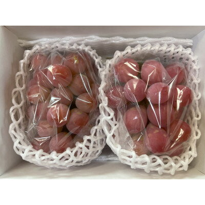 【ふるさと納税】【先行予約 2026年発送】岡山県産　クイーンニーナ 2房 合計約900g【配送不可地域：離島】【1562286】 サムネイル3