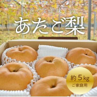 【2025年発送】あたご梨 ご家庭用/約5kg(岡山県産) お歳暮 和梨 冬の果物_ 梨 ふるさと納税 なし ナシ 愛宕梨 あたご梨 甘い 果物 フルーツ くだもの デザート 岡山県 津山市 約5kg 国産 産直 産地直送 家庭用 ギフト プレゼント 【1566274】