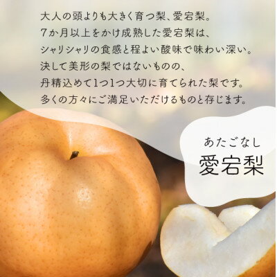 【ふるさと納税】【2025年発送】あたご梨 ご家庭用/約5kg(岡山県産) お歳暮 和梨 冬の果物_ 梨 ふるさと納税 なし ナシ 愛宕梨 あたご梨 甘い 果物 フルーツ くだもの デザート 岡山県 津山市 約5kg 国産 産直 産地直送 家庭用 ギフト プレゼント 【1566274】 サムネイル3