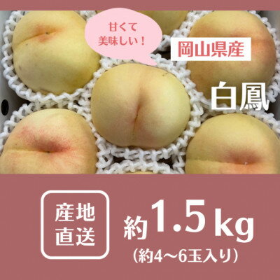 【2026年先行予約】2026年7月中旬頃より発送予定・岡山の白桃・白鳳(1.5kg箱)【配送不可地域：離島】【1578640】