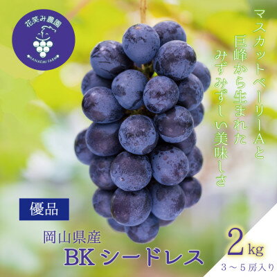 【2026年先行予約】岡山　花笑み農園の『BKシードレス』2kg(3～5房)優品　B-2優_ ぶどう 葡萄 ブドウ BKシードレス 岡山県産 果物 くだもの フルーツ ギフト 岡山県 津山市 産地直送 【配送不可地域：離島・北海道・沖縄県】【1593502】