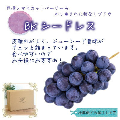 【ふるさと納税】【2026年先行予約】岡山　花笑み農園の『BKシードレス』2kg(3～5房)優品　B-2優_ ぶどう 葡萄 ブドウ BKシードレス 岡山県産 果物 くだもの フルーツ ギフト 岡山県 津山市 産地直送 【配送不可地域：離島・北海道・沖縄県】【1593502】 サムネイル2