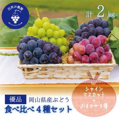 【2026年先行予約】花笑み農園のブドウ『食べ比べ4種』シャイン入り2kg(4房)優品4M-2優_ シャインマスカット ふるさと納税 ぶどう 葡萄 ブドウ 岡山県産 フルーツ ギフト 食べ比べ 4種 【配送不可地域：離島・北海道・沖縄県】【1593520】