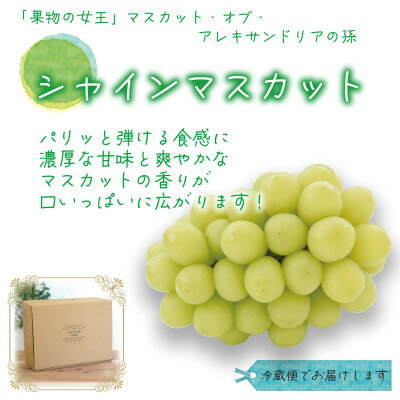 【ふるさと納税】【2026年先行予約】花笑み農園のブドウ『食べ比べ4種』シャイン入り2kg(4房)優品4M-2優_ シャインマスカット ふるさと納税 ぶどう 葡萄 ブドウ 岡山県産 フルーツ ギフト 食べ比べ 4種 【配送不可地域：離島・北海道・沖縄県】【1593520】 サムネイル2