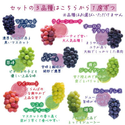 【ふるさと納税】【2026年先行予約】花笑み農園のブドウ『食べ比べ4種』シャイン入り2kg(4房)優品4M-2優_ シャインマスカット ふるさと納税 ぶどう 葡萄 ブドウ 岡山県産 フルーツ ギフト 食べ比べ 4種 【配送不可地域：離島・北海道・沖縄県】【1593520】 サムネイル3