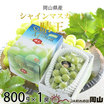 【2025年8月より順次発送】岡山県産　シャインマスカット　晴王　800g×1房_ シャインマスカット ふるさと納税 ぶどう 葡萄 ブドウ マスカット 果物 くだもの フルーツ 産直 産地直送 岡山県 津山市 ギフト 送料無料 【配送不可地域：離島】【1603758】