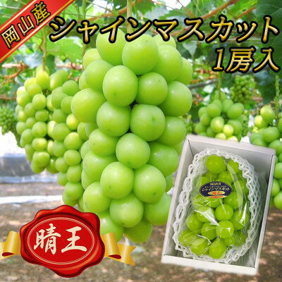 【2026年8月下旬以降順次発送】岡山名産【晴王】シャインマスカット1房約650g秀品!【配送不可地域：離島】【1612175】