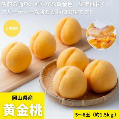 【2026年発送】ご家庭用　岡山県産黄金桃　約1.5kg(5～6玉)【配送不可地域：離島】【1614333】