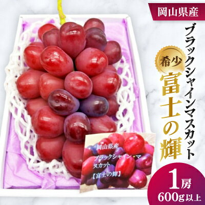 【先行予約】岡山県産　ブラックシャインマスカット 1房(600g以上)　化粧箱入り【配送不可地域：離島・北海道・沖縄県】【1631141】