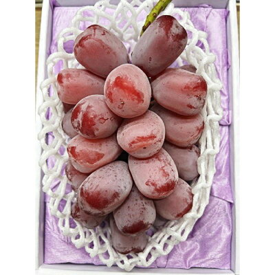 【ふるさと納税】【先行予約】岡山県産　ブラックシャインマスカット 1房(600g以上)　化粧箱入り【配送不可地域：離島・北海道・沖縄県】【1631141】 サムネイル2