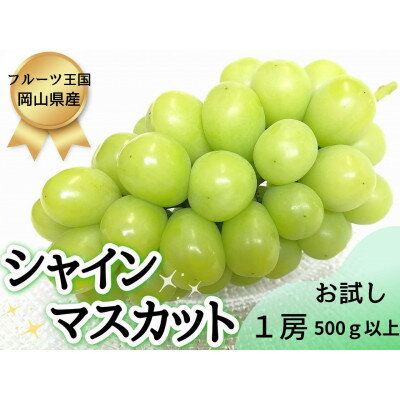【2026年先行予約】お試し(訳あり)フルーツ王国岡山シャインマスカット　朝採れぶどう(500g～)_ ぶどう 葡萄 シャインマスカット 果物 くだもの フルーツ 人気 おすすめ 送料無料 岡山 【配送不可地域：離島】【G1633322】