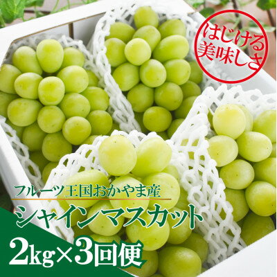 【発送月固定定期便】【2026年先行予約】シャインマスカットを楽しむ満足便/全便計6.0kg～全3回_ シャインマスカット ふるさと納税 ぶどう 葡萄 ブドウ マスカット 果物 フルーツ くだもの 定期便 岡山県 津山市 産直 【配送不可地域：離島】【4065364】
