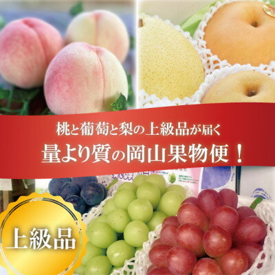 【発送月固定定期便】【2026年先行予約】岡山の桃、ぶどう、梨を産地直送!多品種を楽しむ定期便全3回【配送不可地域：離島・北海道・沖縄県】【4066247】
