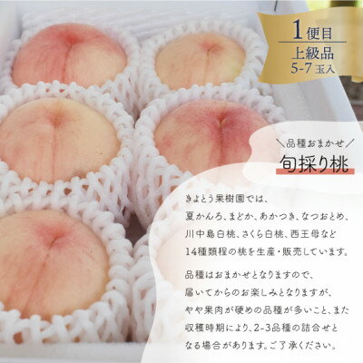 【ふるさと納税】【発送月固定定期便】【2026年先行予約】岡山の桃、ぶどう、梨を産地直送!多品種を楽しむ定期便全3回【配送不可地域：離島・北海道・沖縄県】【4066247】 サムネイル2