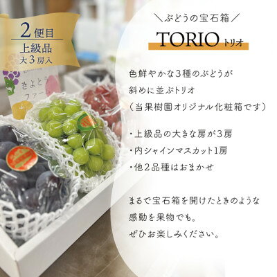 【ふるさと納税】【発送月固定定期便】【2026年先行予約】岡山の桃、ぶどう、梨を産地直送!多品種を楽しむ定期便全3回【配送不可地域：離島・北海道・沖縄県】【4066247】 サムネイル3