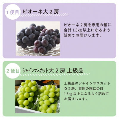 【ふるさと納税】【発送月固定定期便】【2026年先行予約】ピオーネとシャインマスカットの大2房が届く(岡山産)全2回【配送不可地域：離島】【4067477】 サムネイル2