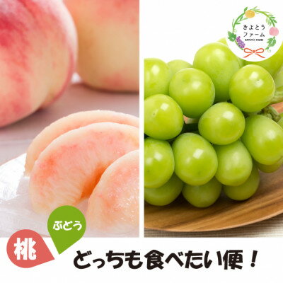 【発送月固定定期便】【2026年先行予約】桃と葡萄どっちも食べたい便!【お試し便】(岡山県産)全2回【配送不可地域：離島・北海道・沖縄県】【4067481】