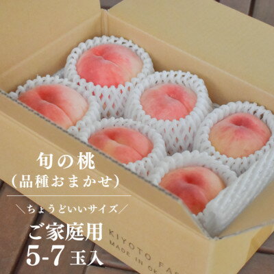 【ふるさと納税】【発送月固定定期便】【2026年先行予約】桃と葡萄どっちも食べたい便!【お試し便】(岡山県産)全2回【配送不可地域：離島・北海道・沖縄県】【4067481】 サムネイル2