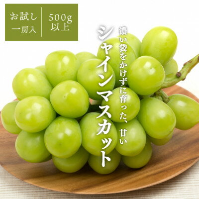 【ふるさと納税】【発送月固定定期便】【2026年先行予約】桃と葡萄どっちも食べたい便!【お試し便】(岡山県産)全2回【配送不可地域：離島・北海道・沖縄県】【4067481】 サムネイル3