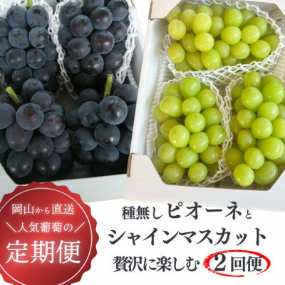 【発送月固定定期便】【2026年先行予約】ピオーネとシャインマスカットの2回便!(岡山県産)全2回【配送不可地域：離島】【4067502】