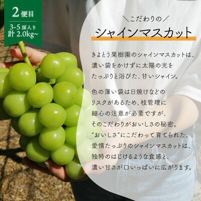 【ふるさと納税】【発送月固定定期便】【2026年先行予約】ピオーネとシャインマスカットの2回便!(岡山県産)全2回【配送不可地域：離島】【4067502】 サムネイル3