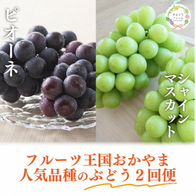 【発送月固定定期便】【2026年先行予約】ピオーネとシャインマスカット大2房の定期便(岡山産)全2回【配送不可地域：離島】【4067688】
