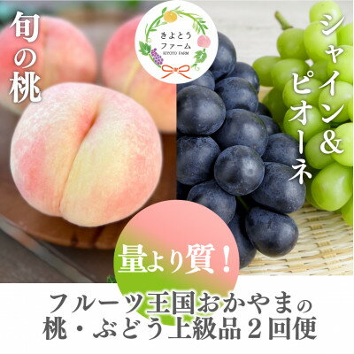 【発送月固定定期便】【2026年先行予約】量より質!桃とピオーネ&シャインの定期便(岡山県産)全2回【配送不可地域：離島・北海道・沖縄県】【4067690】