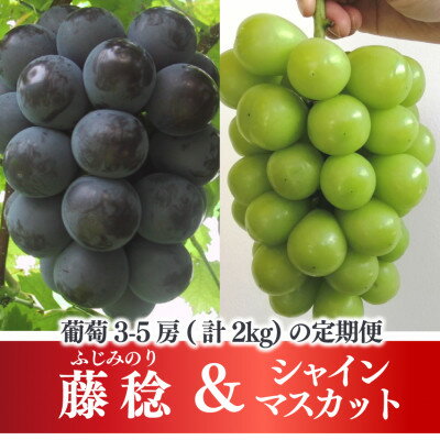 【発送月固定定期便】【2026年先行予約】藤稔とシャインマスカット各2kg入の定期便(岡山産)全2回【配送不可地域：離島】【4068046】