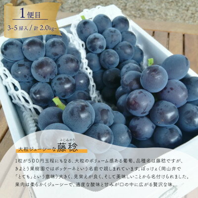 【ふるさと納税】【発送月固定定期便】【2026年先行予約】藤稔とシャインマスカット各2kg入の定期便(岡山産)全2回【配送不可地域：離島】【4068046】 サムネイル2