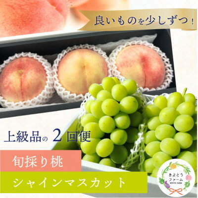 【発送月固定定期便】【2026年先行予約】厳選された大玉桃3玉と大粒シャインマスカット定期便!全2回【配送不可地域：離島】【4071130】