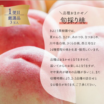 【ふるさと納税】【発送月固定定期便】【2026年先行予約】厳選された大玉桃3玉と大粒シャインマスカット定期便!全2回【配送不可地域：離島】【4071130】 サムネイル2