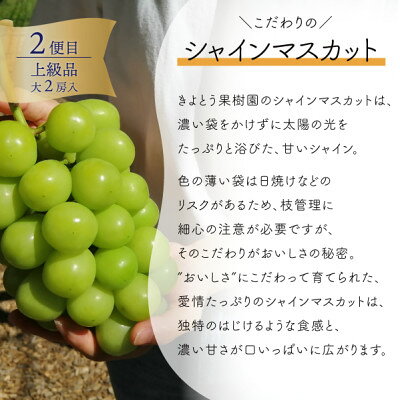 【ふるさと納税】【発送月固定定期便】【2026年先行予約】厳選された大玉桃3玉と大粒シャインマスカット定期便!全2回【配送不可地域：離島】【4071130】 サムネイル3