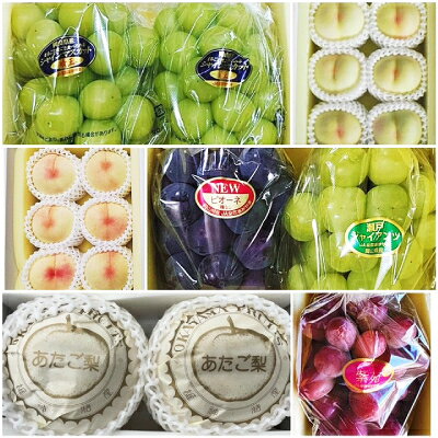 【ふるさと納税】【発送月固定定期便】岡山県産 フルーツ定期便全6回【配送不可地域：離島・北海道・沖縄県】【4075036】 サムネイル2