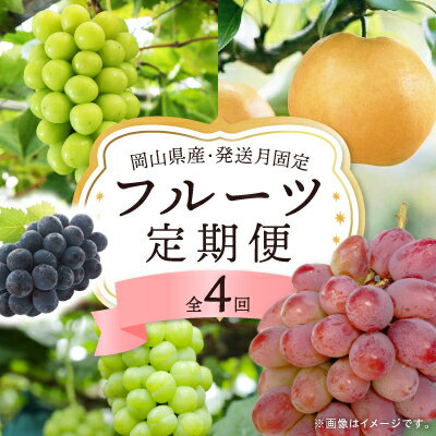【発送月固定定期便】岡山県産 フルーツ定期便全4回【配送不可地域：離島・北海道・沖縄県】【4075037】